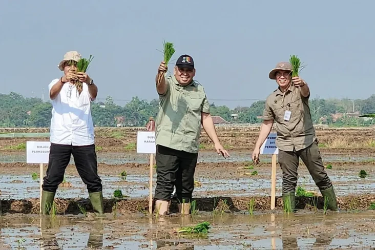 Kejar Produksi Beras...