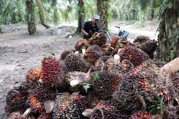 Komitmen YIDH Dukung...