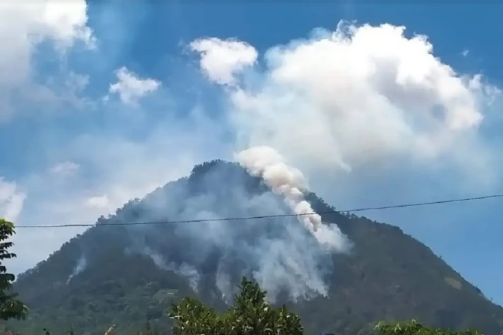 Kobaran Api di Gunung...