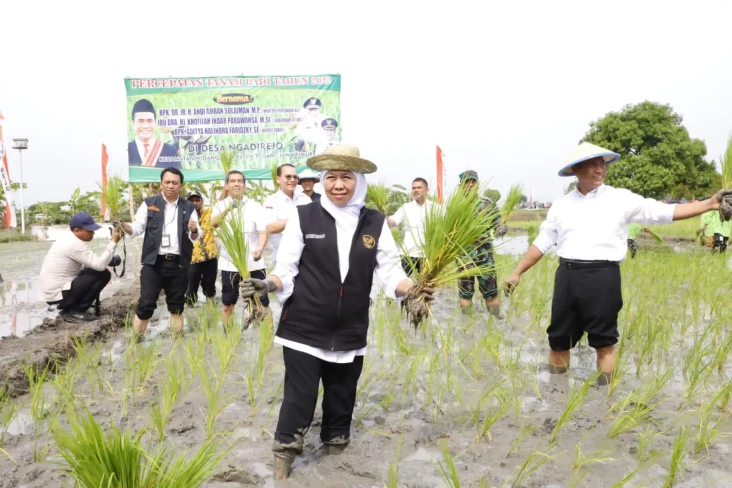 Bersama Mentan Panen...