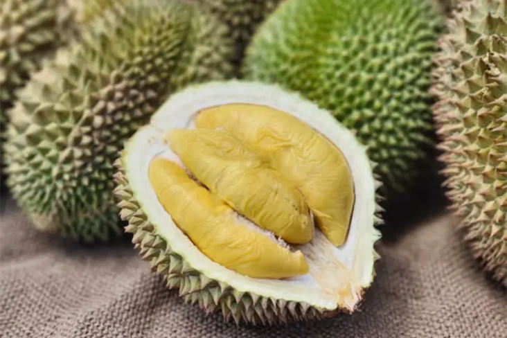 4 Manfaat Buah Durian...