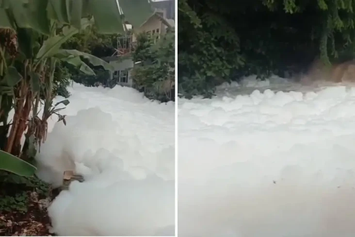 Viral Busa Menggunung...
