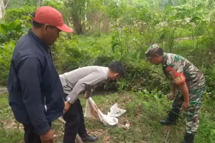 Jasad Bayi Dimakan Anjing...