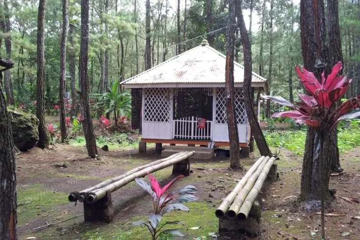 Beji Antaboga, Hutan...
