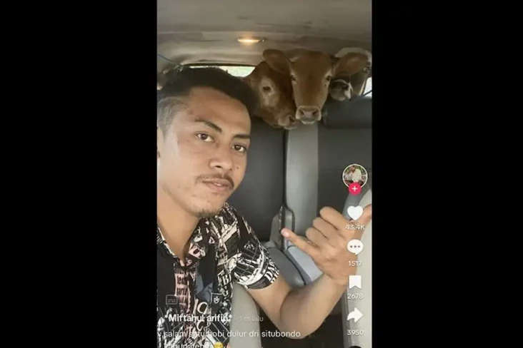 Kocak, Pria Situbondo...