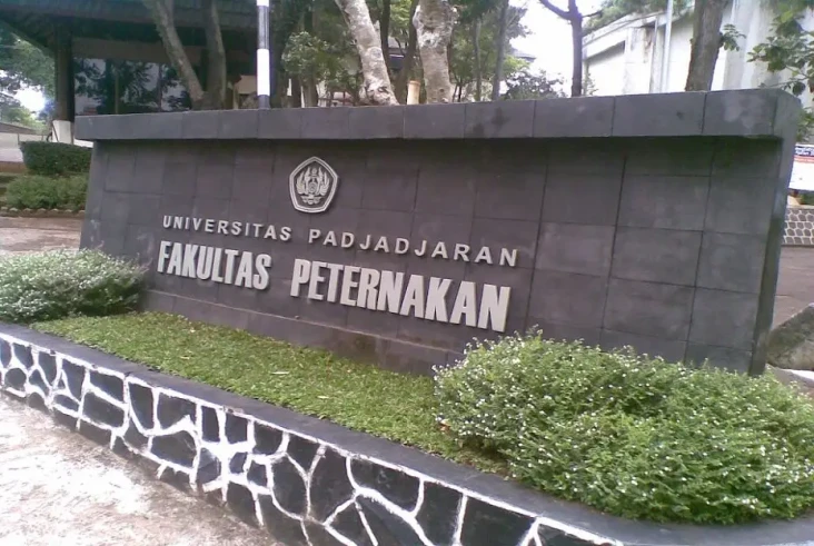 5 Jurusan yang Lulusannya...
