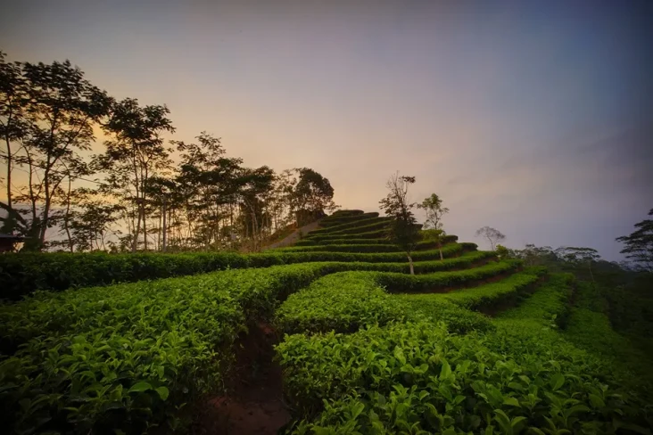 7 Rekomendasi Wisata...