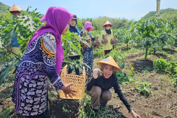Atikoh Ganjar Ikut Panen...