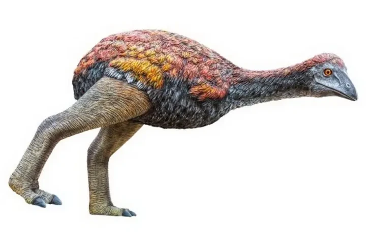 Mengenal Burung Gajah,...