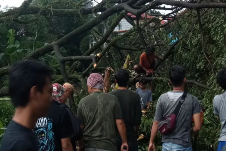 Hujan Deras Disertai...
