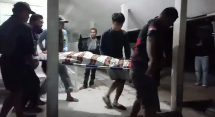Tertimpa Pohon Tumbang,...