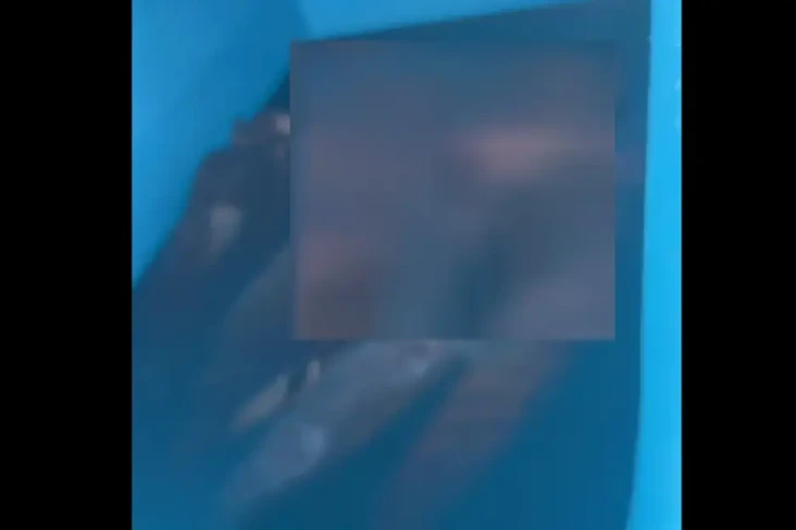 Video 2 Mayat Membusuk...