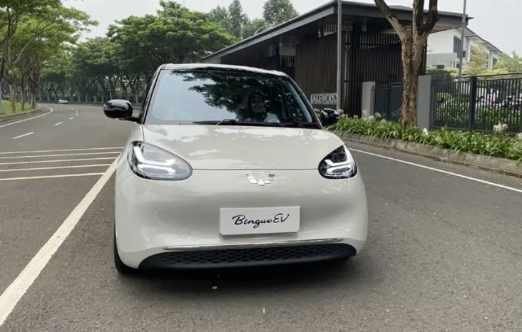 Wuling BinguoEV Resmi...