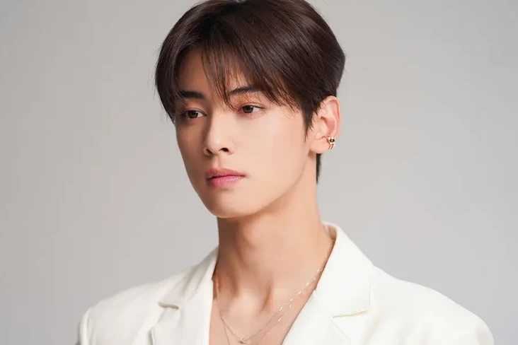 30 Idol K-Pop Pria Terpopuler...