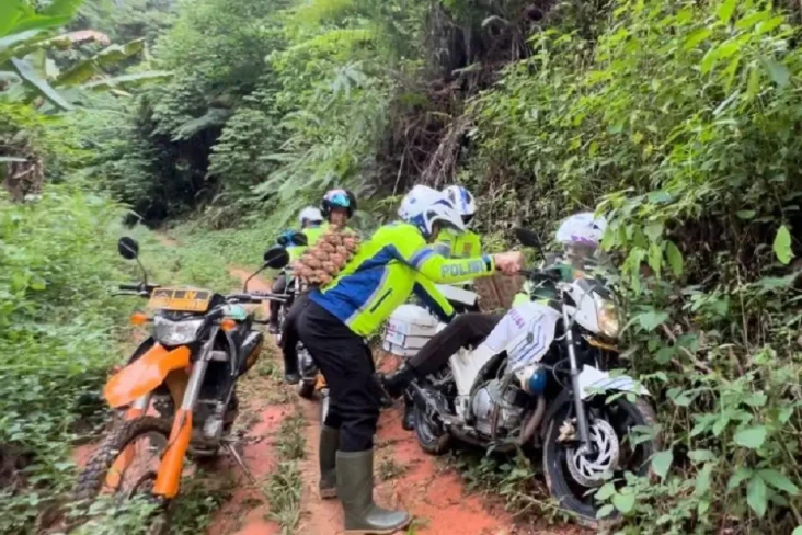 Polisi Melewati Sarang...
