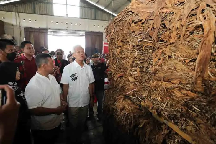 Peduli Petani Tembakau,...