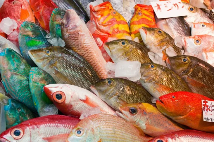 5 Manfaat Kulit Ikan...