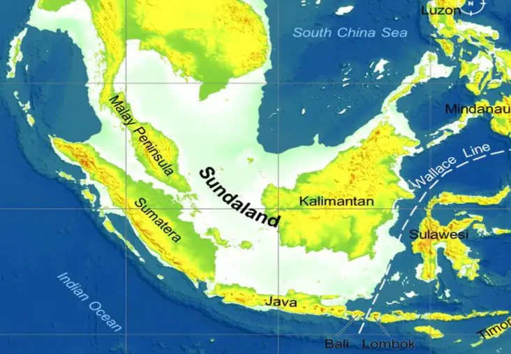 6 Fakta Menarik Sundaland,...