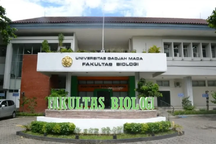 Nilai Rapor Fisika dan...