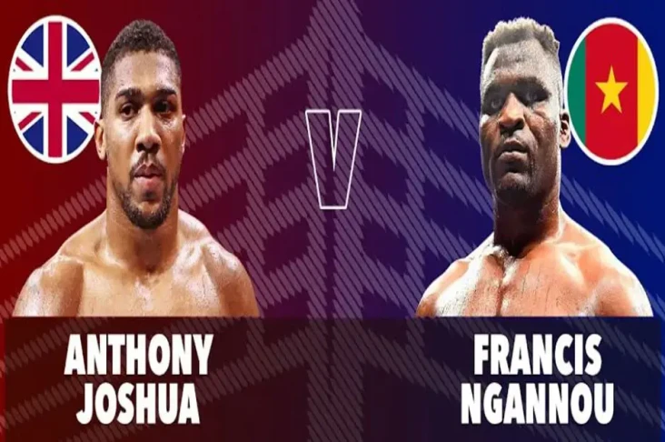 Anthony Joshua vs Francis...