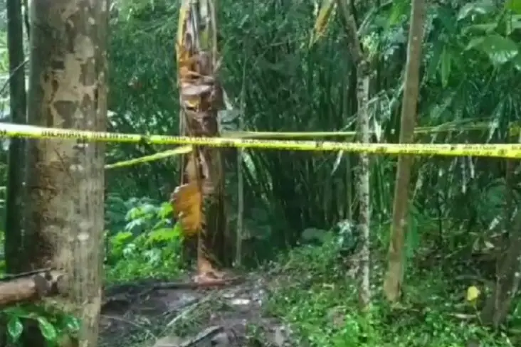Keluarga Cek Kondisi...