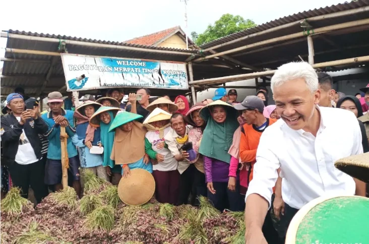 Pupuk Subsidi Sulit...
