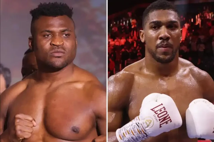 Francis Ngannou Pria...