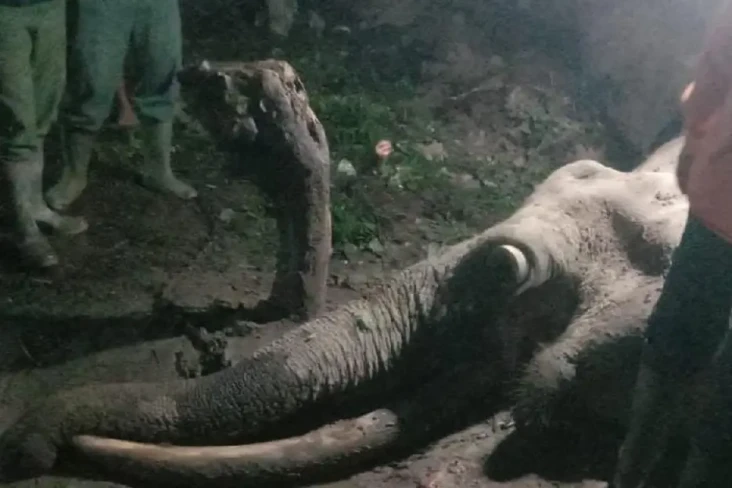 5 Fakta Pembantaian...
