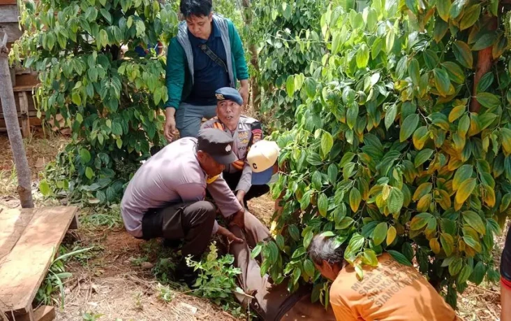 Petani di Kolaka Utara...