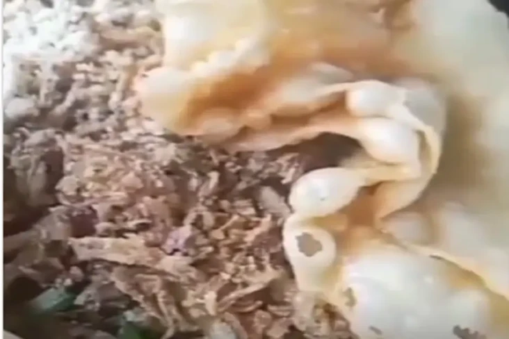 Viral Video Belatung...