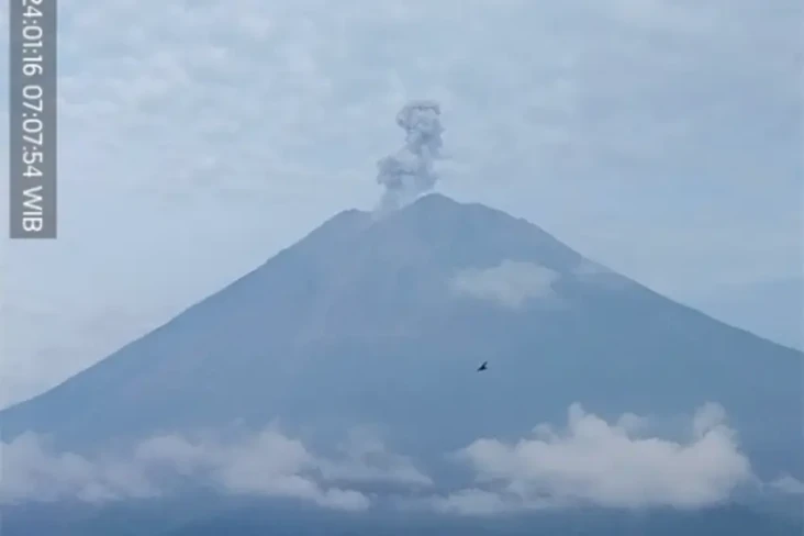 Gunung Semeru Erupsi,...