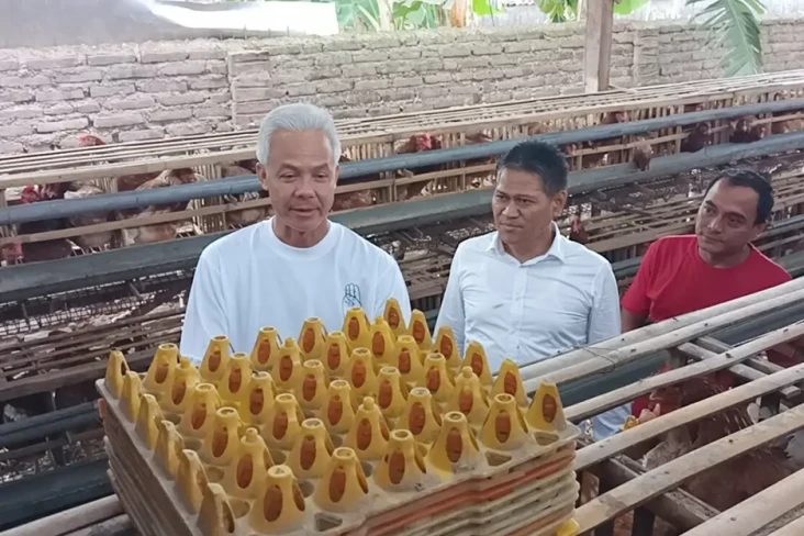 Panen Telur di Desa...