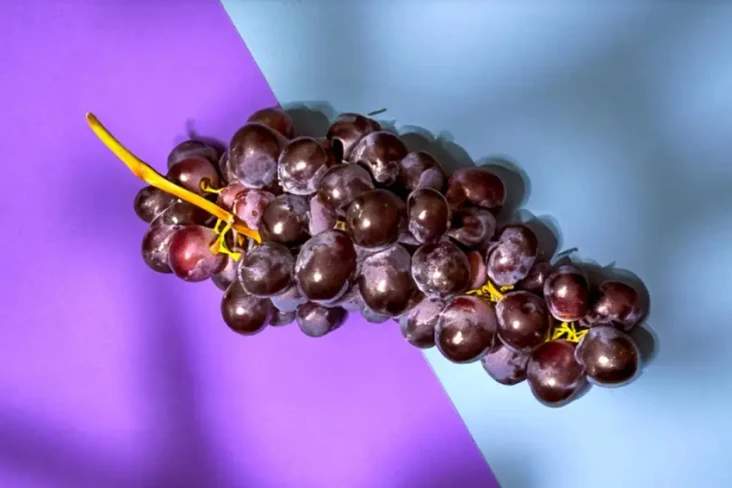 Manfaat Kandungan Vitis...