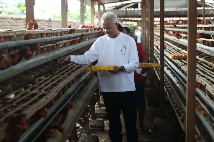 Panen Telur Bareng Peternak...