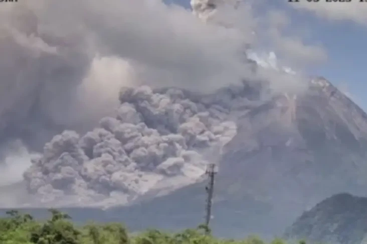 Merapi Muntahkan Wedus...