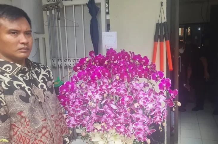 Bunga Anggrek Jokowi...