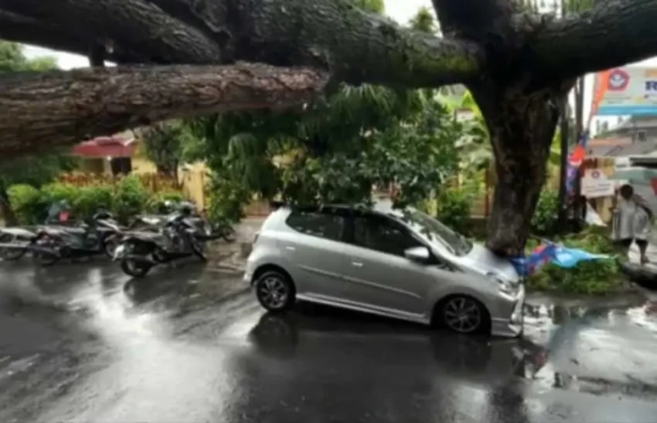 Hujan Angin Tumbangkan...