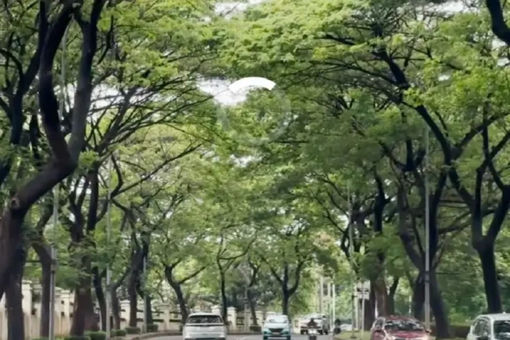 5 Rekomendasi Jalan-Jalan...