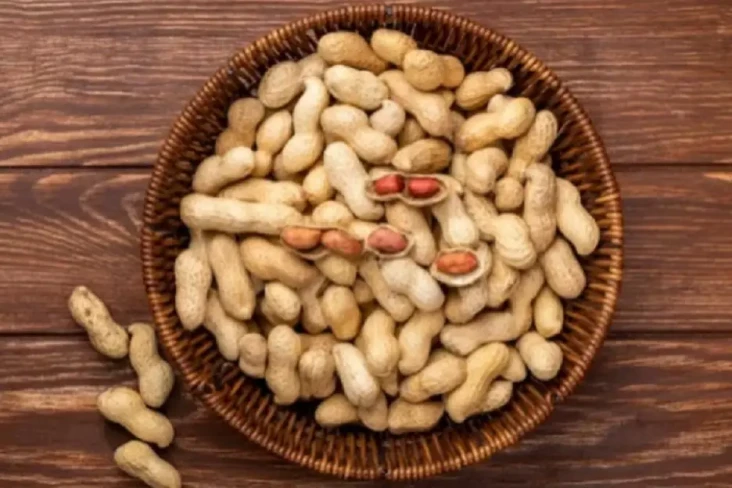 Suka Lupa? Ini Makanan...