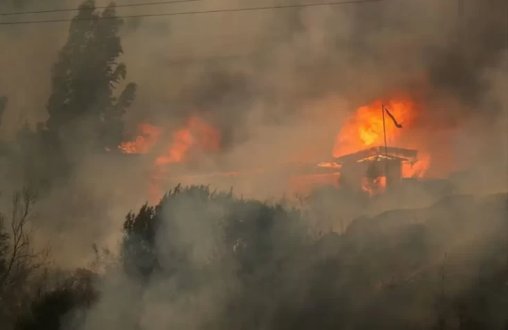 Kebakaran Hutan di Chile...