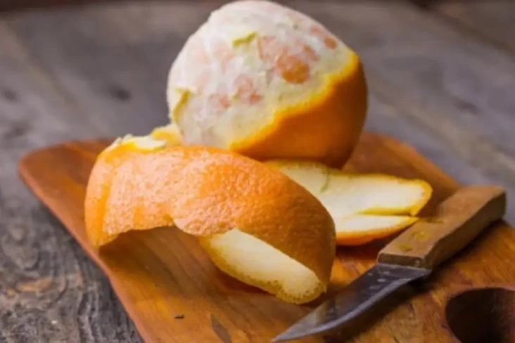 Jangan Buang Kulit Buah-buahan...
