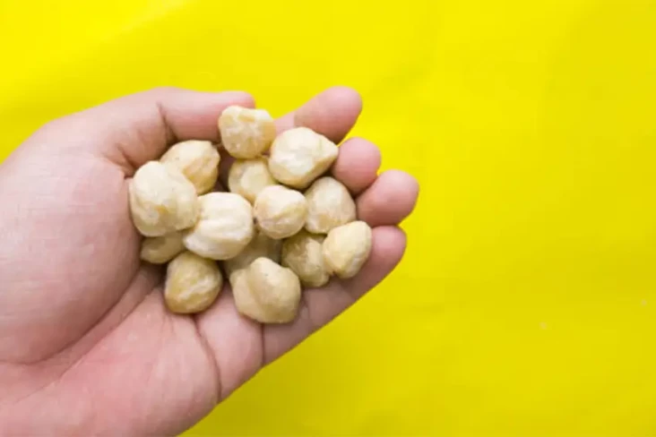 3 Manfaat Kemiri untuk...