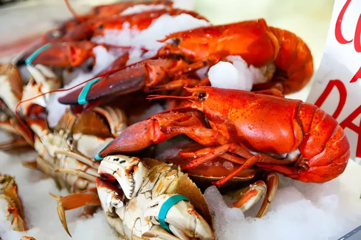 5 Makanan yang Tidak...