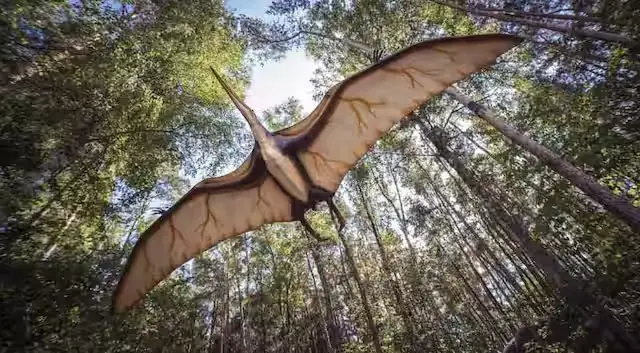 Fosil Dinosaurus yang...