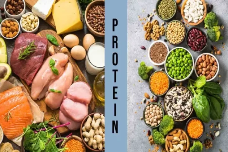 Protein Hewani vs Nabati,...