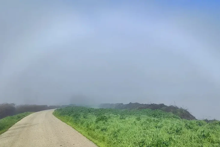 Pelangi Putih Langka...