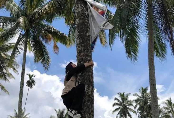 Viral, Panwas Cantik...