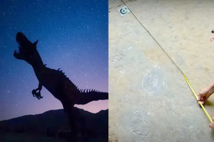 Jejak Dinosaurus Ratusan...