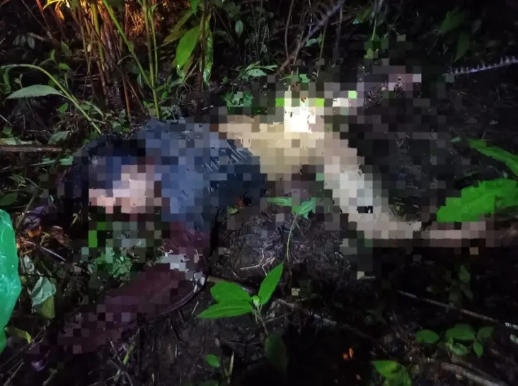 Diduga Diterkam Harimau,...