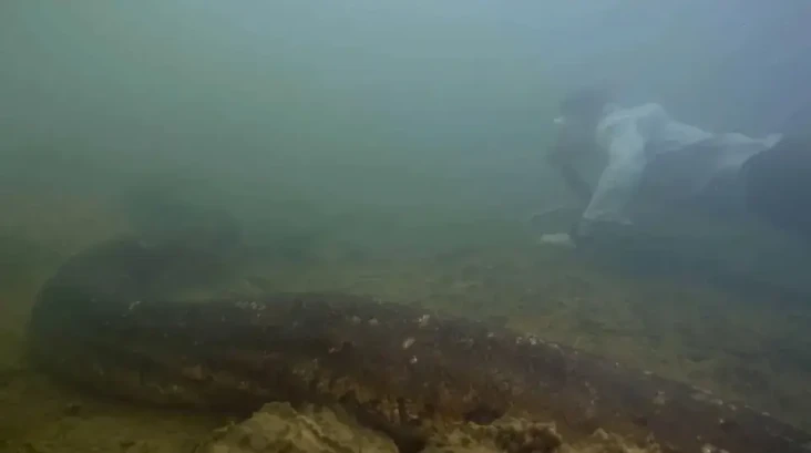 Ahli Biologi Berenang...